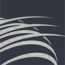 Copa <br> Airlines